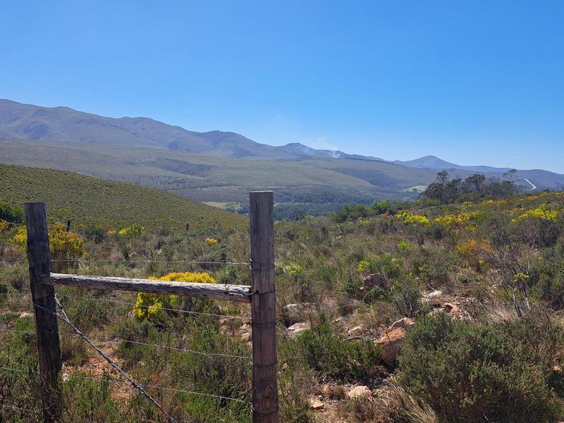0 Bedroom Property for Sale in Kareedouw Eastern Cape